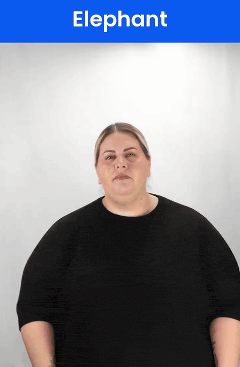 Animated GIF: a Deaf signer signs ELEPHANT in ASL, a hand moving from the nose down and out in a curve, like a trunk.