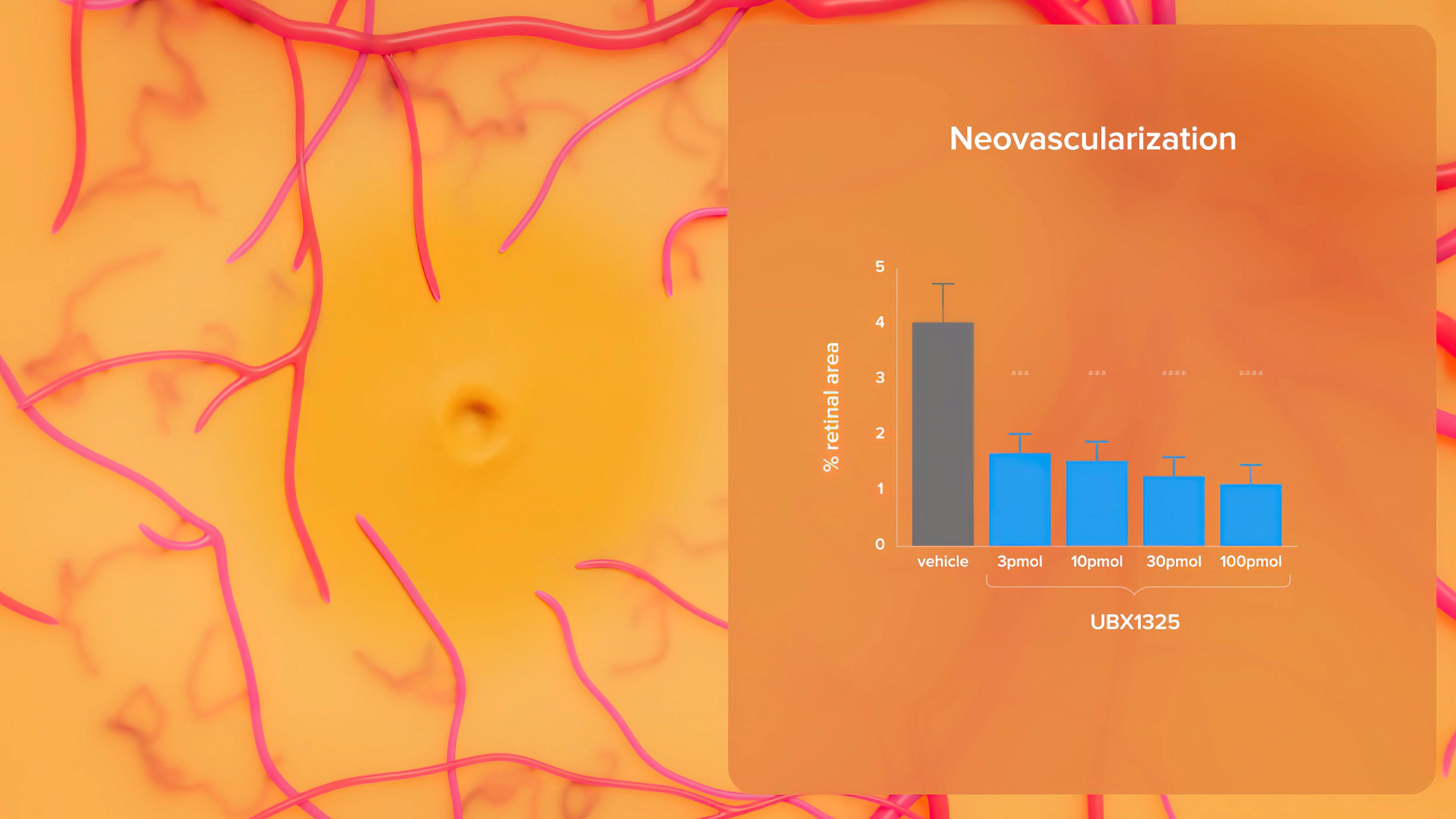 Graph showing the neovascularization percentage in AMD