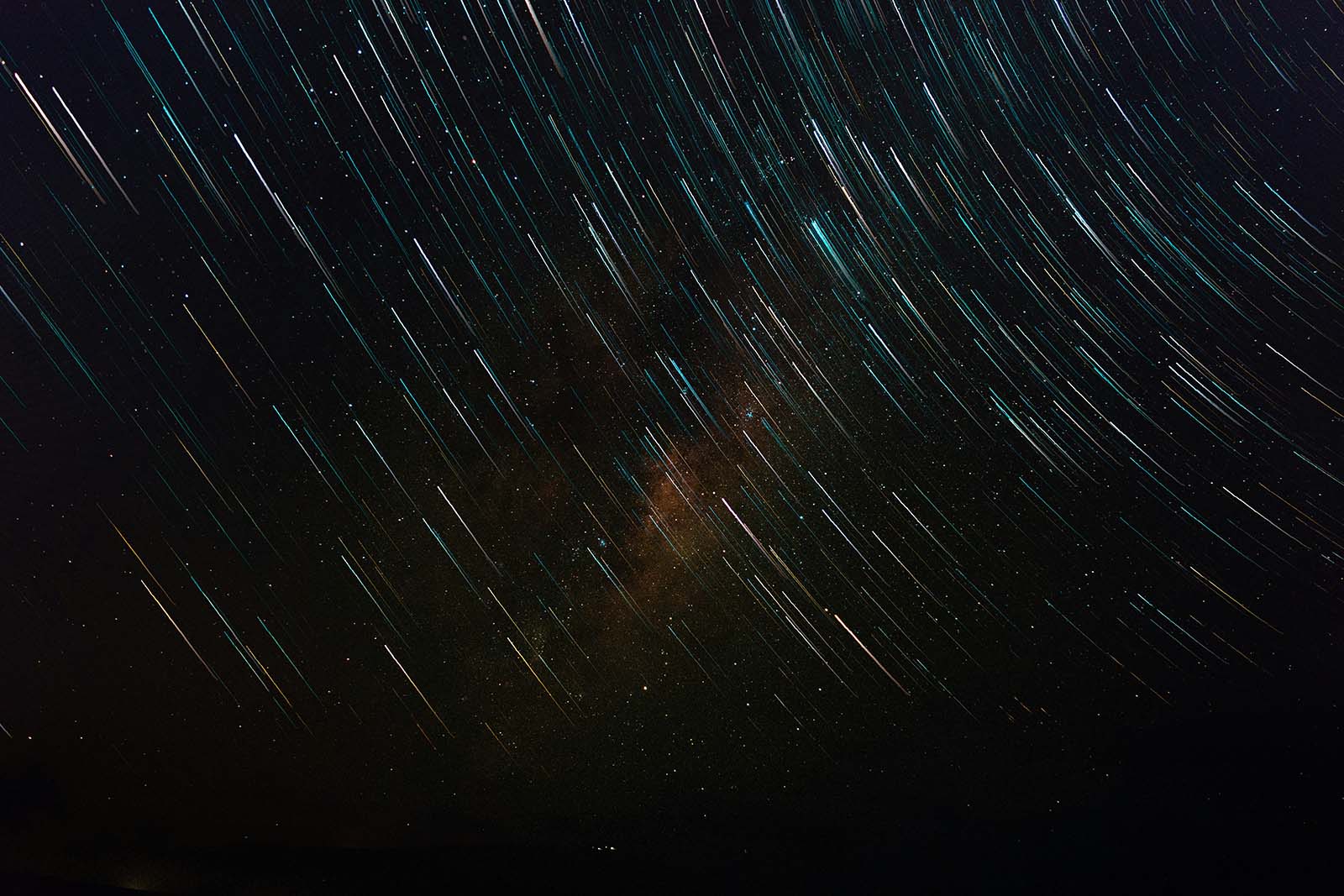 Path winding through a field of pink flowers