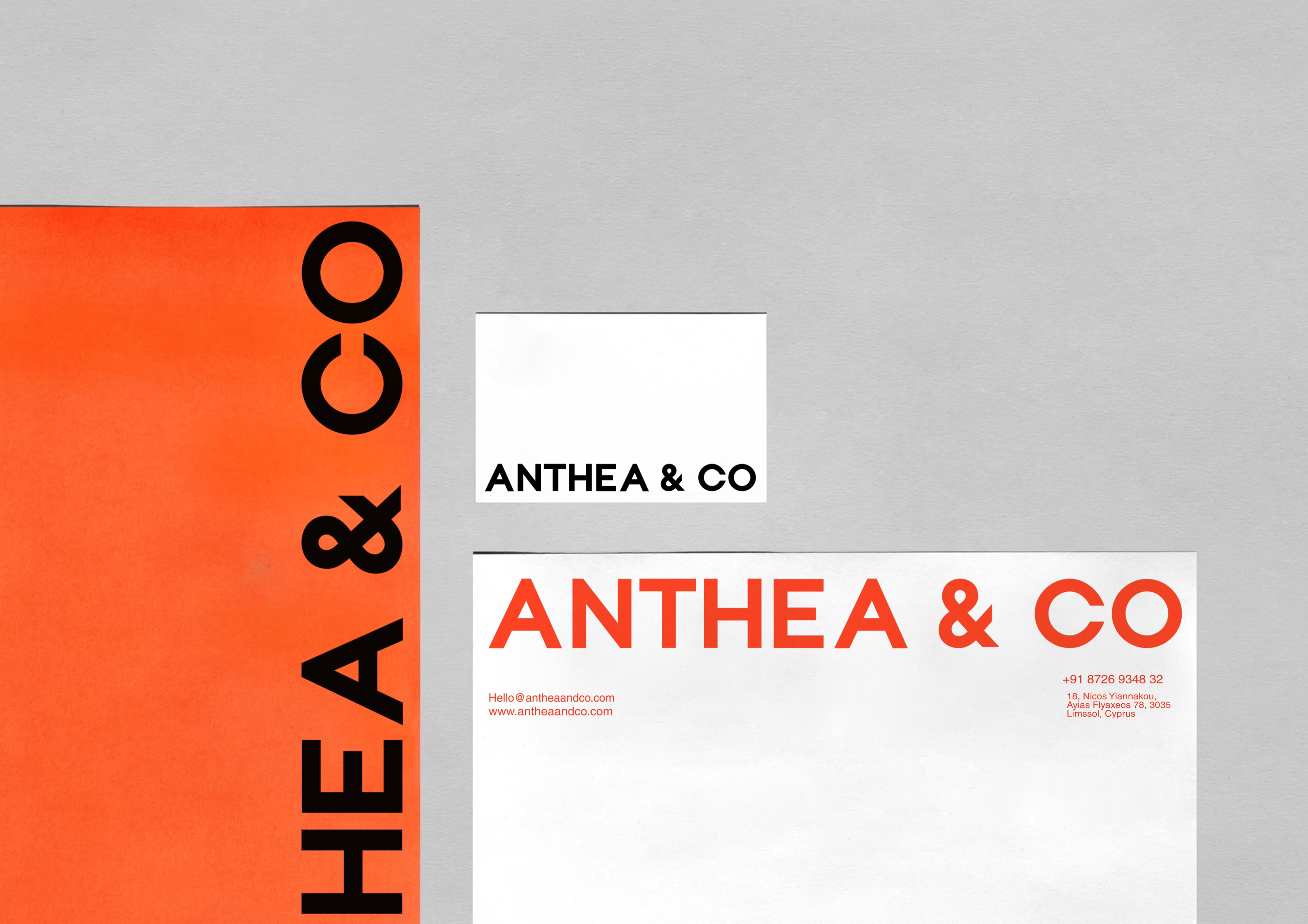 Anthea & Co Main Image 2