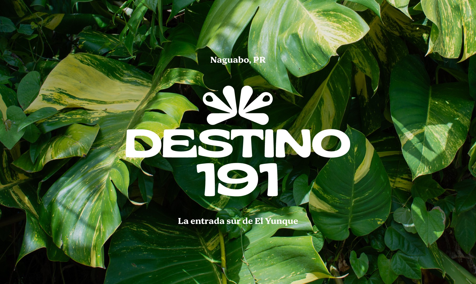 Destino 191