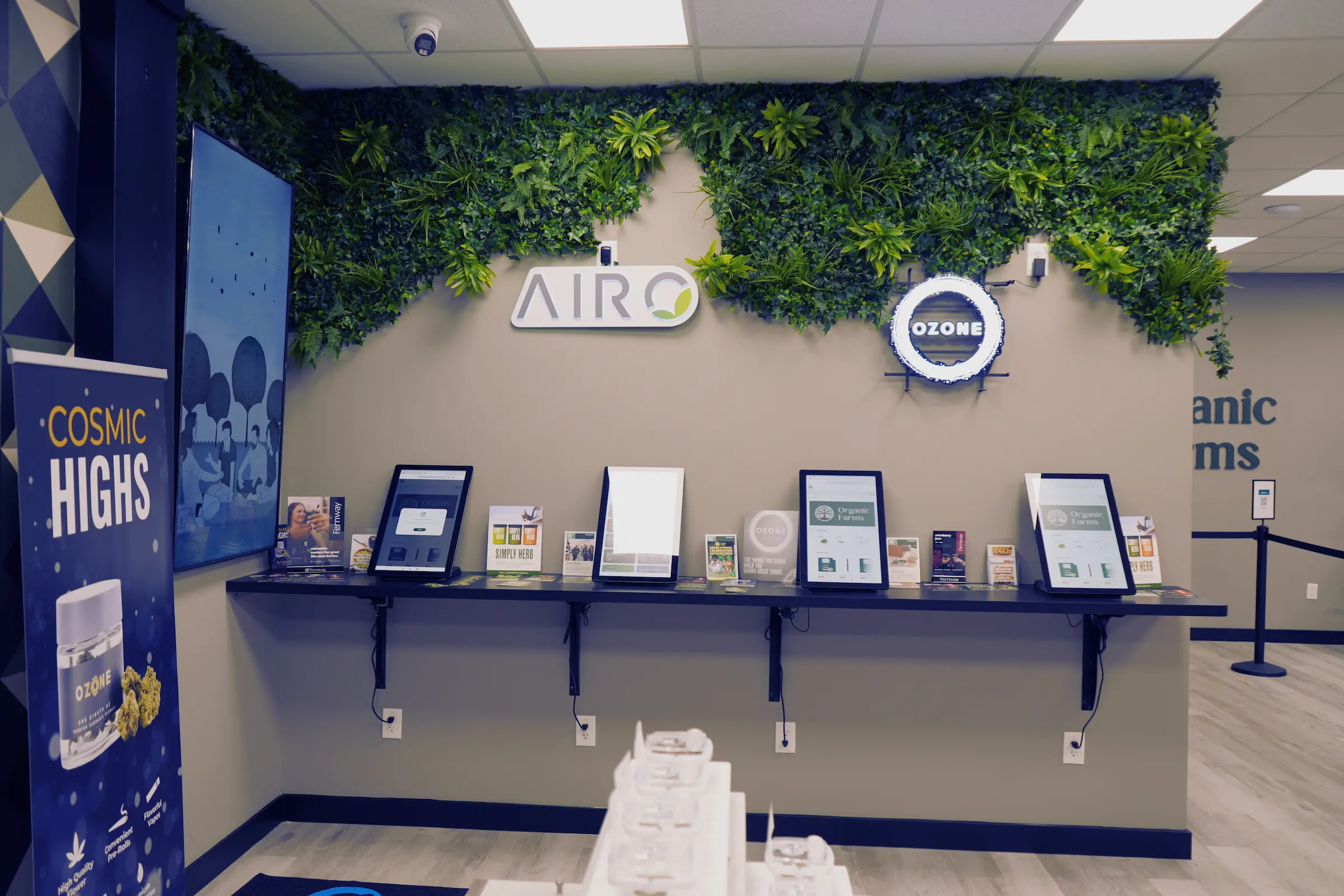 Store interior with greenery accent wall and product displays