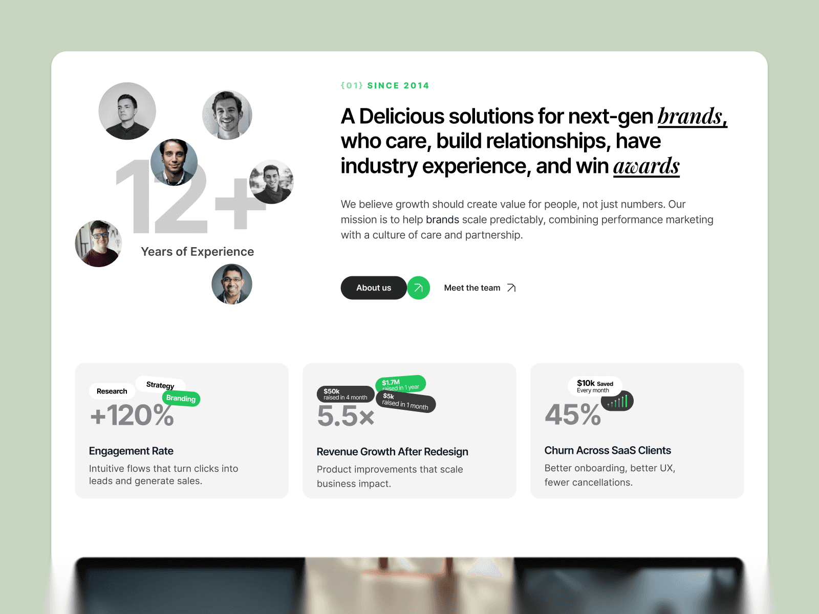 webflow professional services template
