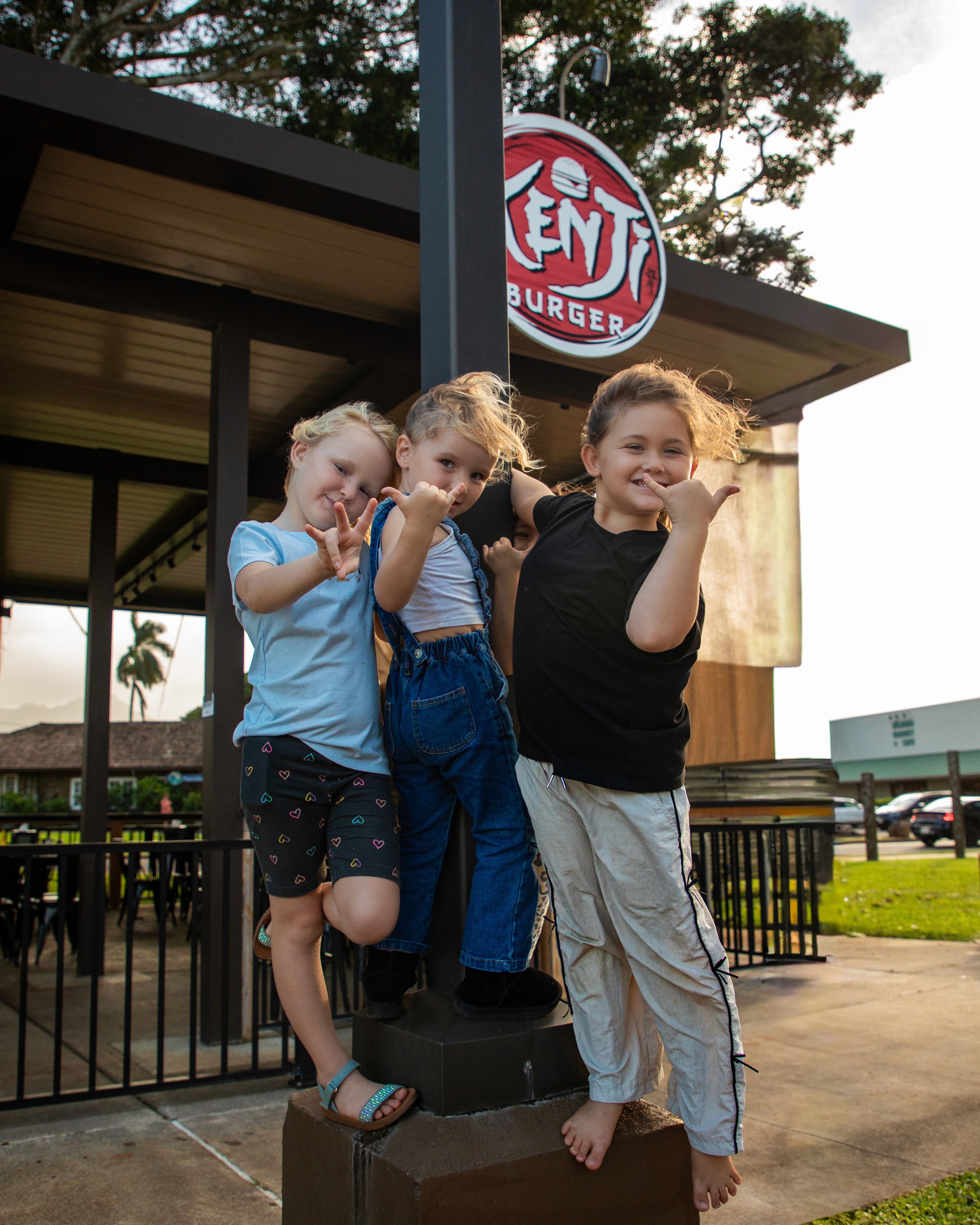 Four pieces of fried chicken or battered fish on a bed of salad greens, being heavily topped with shredded white cheese that is raining down onto the dish, set against a dark, rustic background of wood and pine cones.