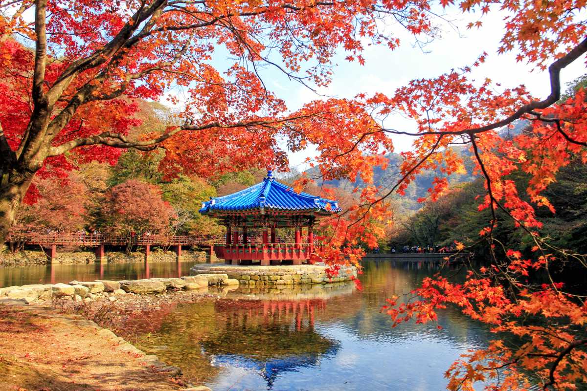 brown and white temple surrounded by green trees during daytime