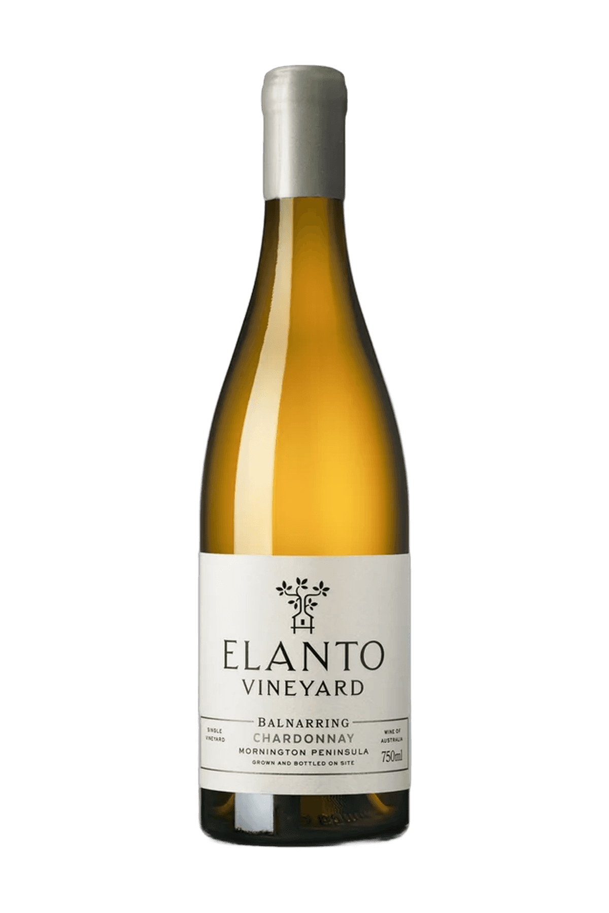 Elanto Chardonnay