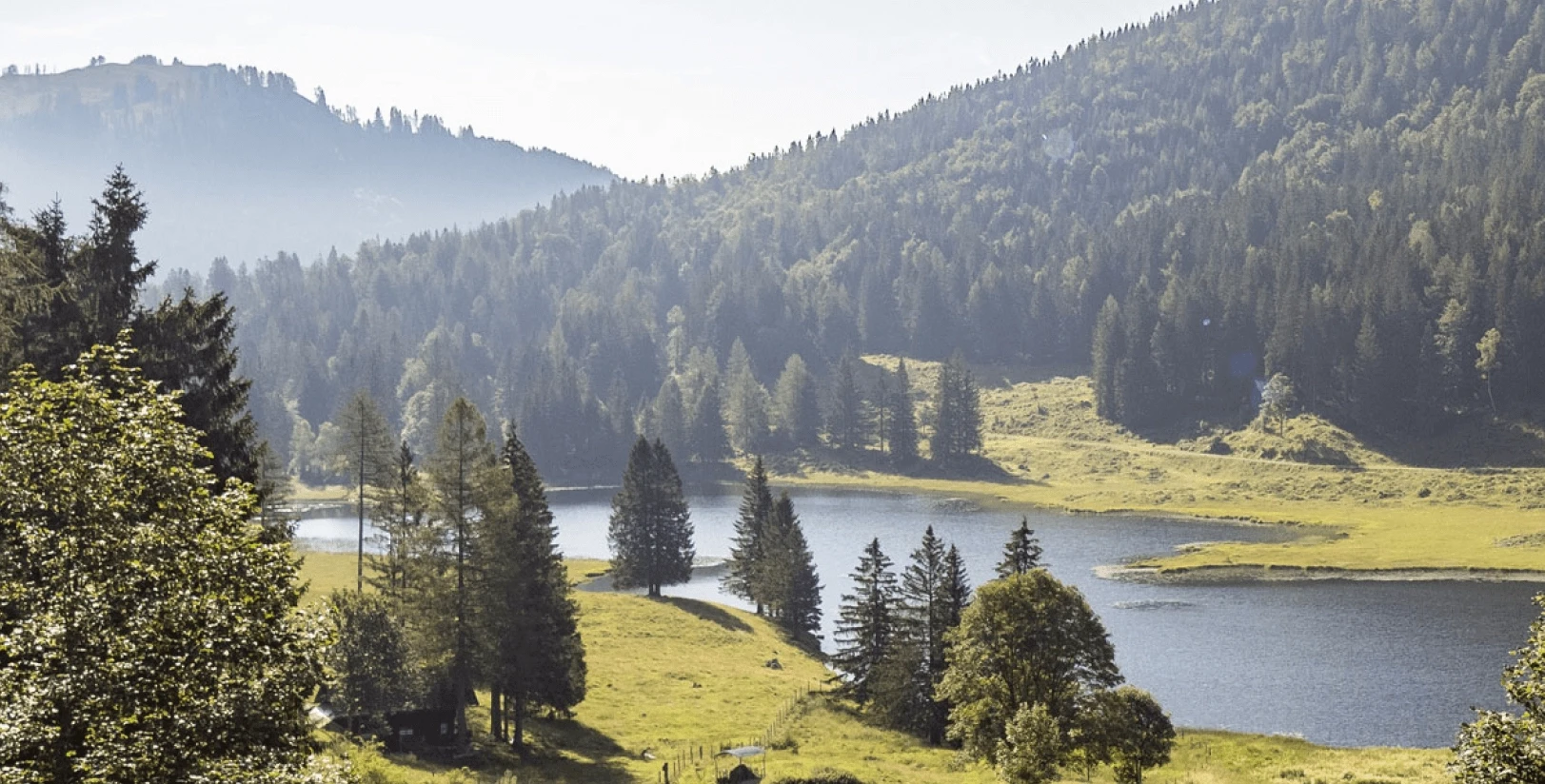 Goethe Institut | norisk Referenz