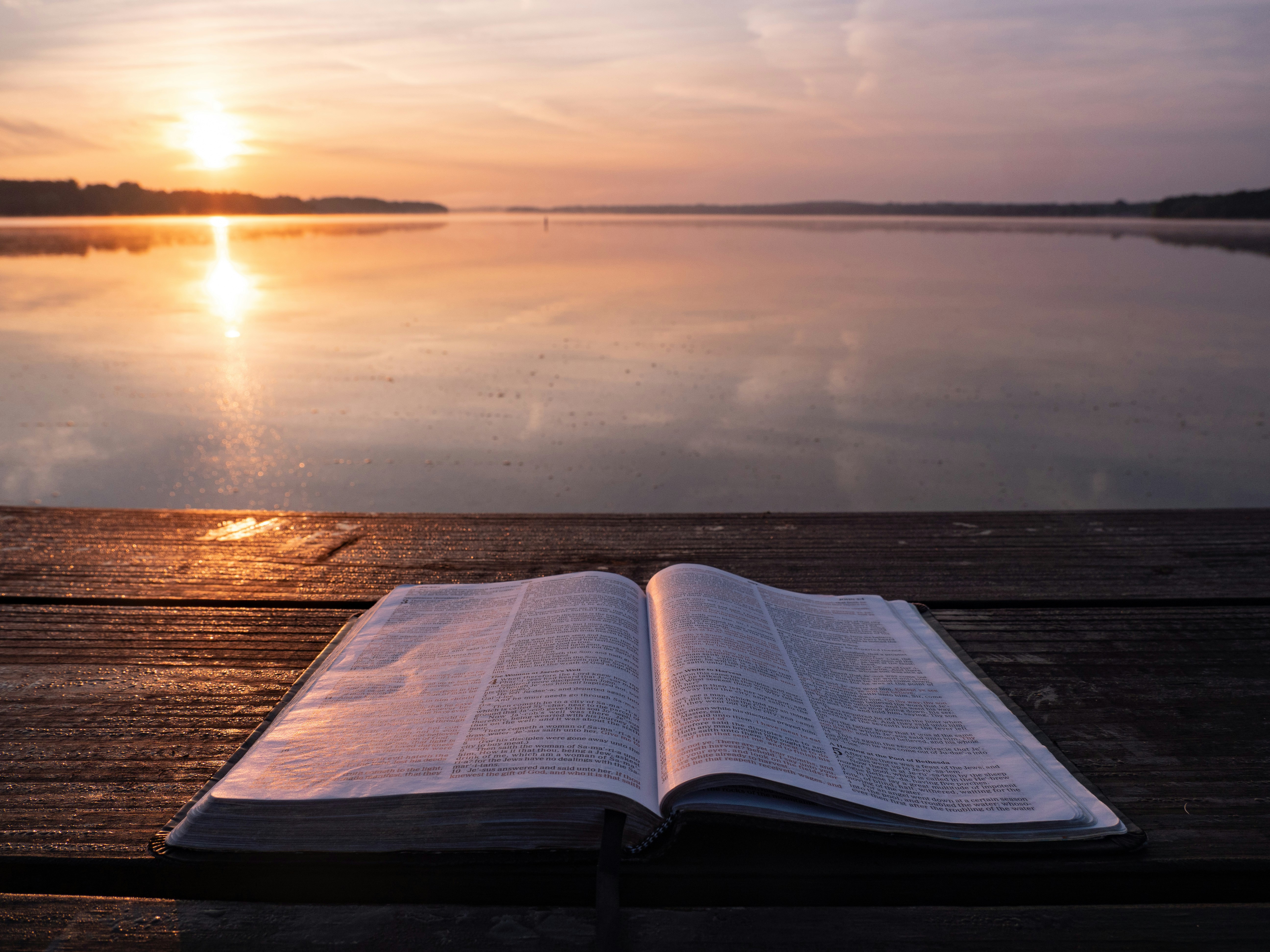 Book is Placed on Table - Natural Reader Alternative