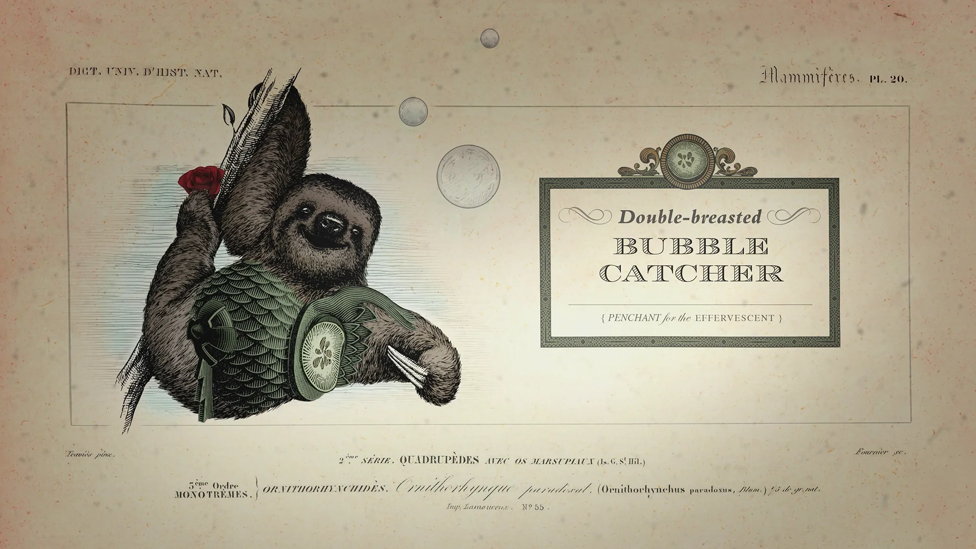 Surreal sloth creature with cucumber clothing, with picture frame saying 'Double breasted bubble catcher'