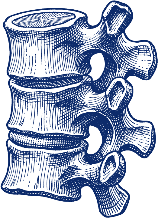 torus abstract object