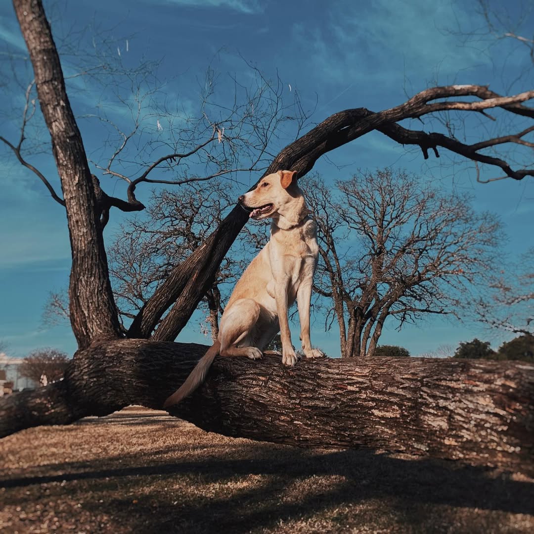 people in a large building with Tate Modern in the background