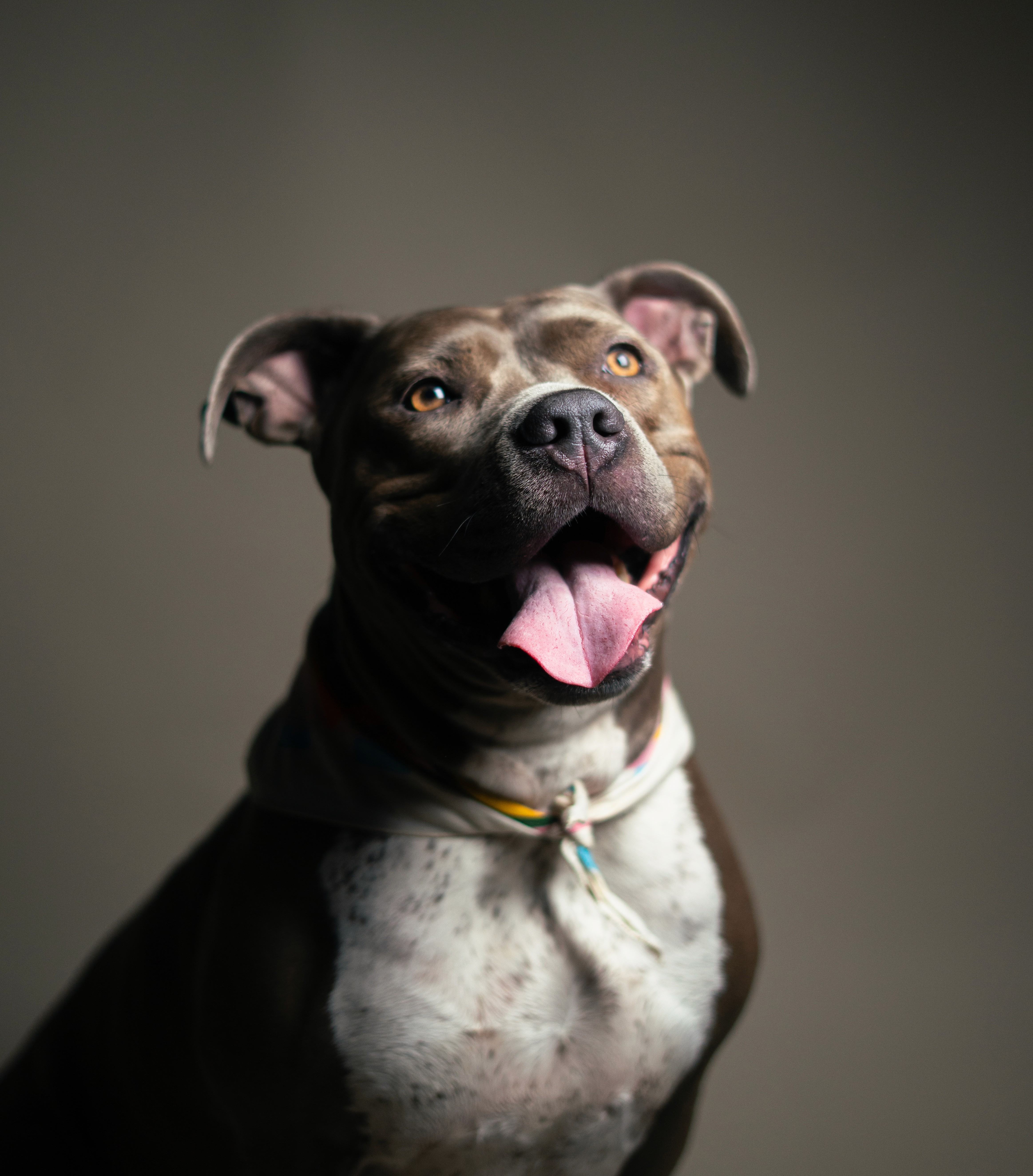 ICANTFINDMIKEY Portrait