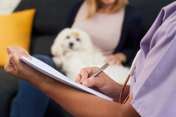 A veterinarian writes down her findings after a vet home visit on a dog