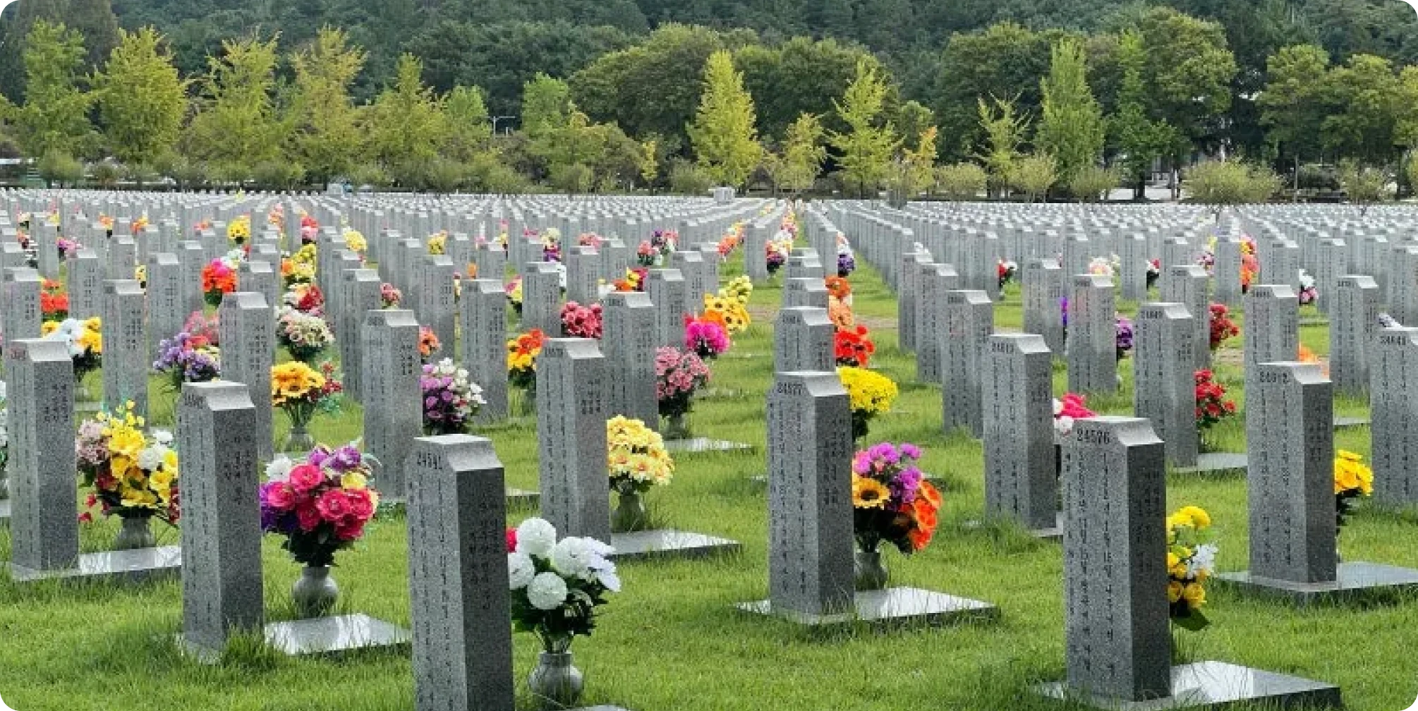 출처 : 선선한 가을 바람과 함께 걷기 좋은 대전 현충원 이미지, 웰로