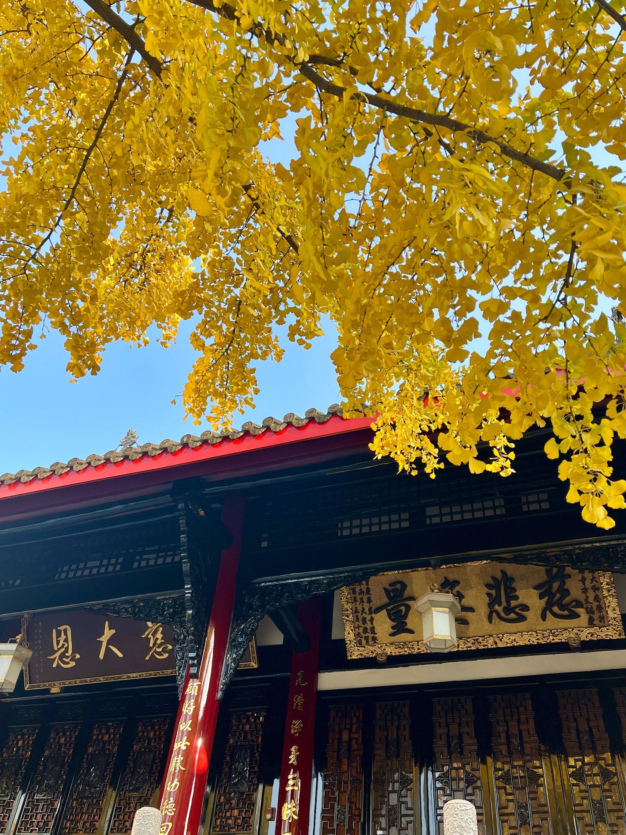 chengdu Wangping Street 
