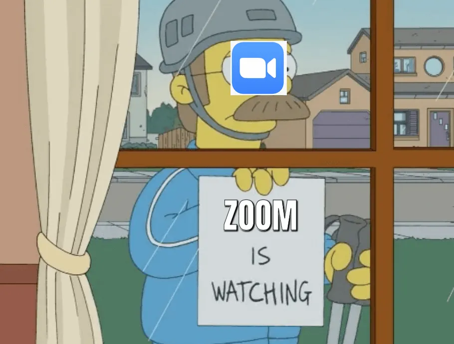 37 Zoom memes that made us cry