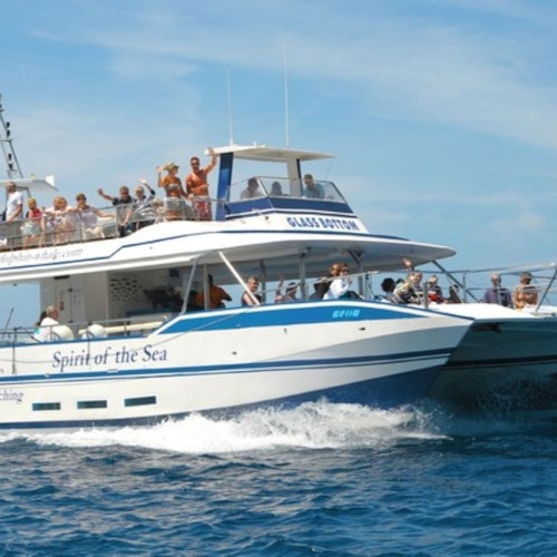 Spirit of the Sea 拥有一个玻璃底，您可以通过它观察海底景观