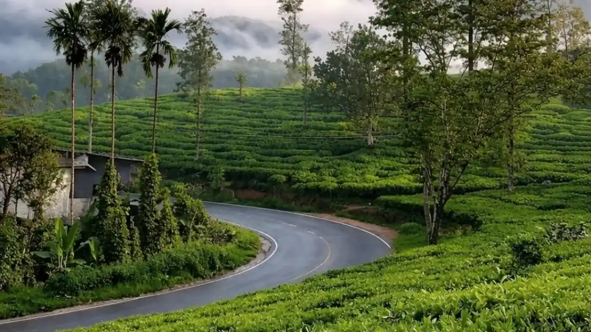  Wayanad