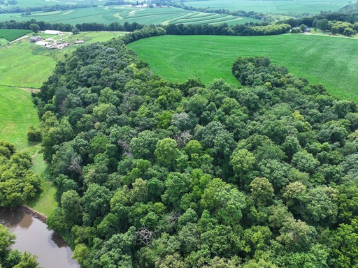 Photo 12 of 34.59 Acres Riverbend Road, Gratiot