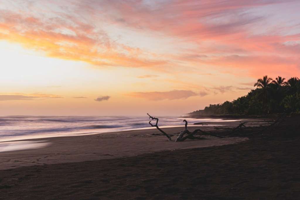 Tortuguero National Park, Costa Rica