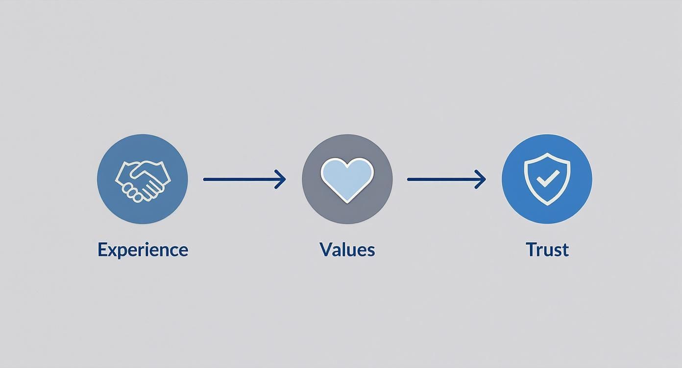 Infographic about how to create a brand identity