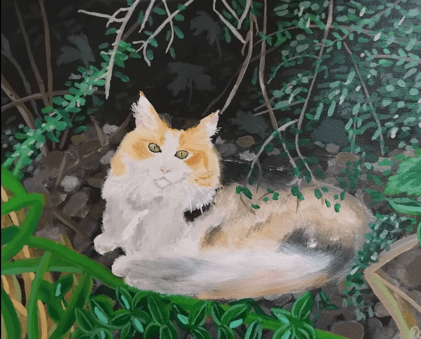 Camouflage