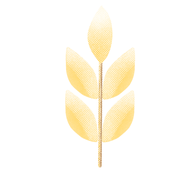 wheat graphic