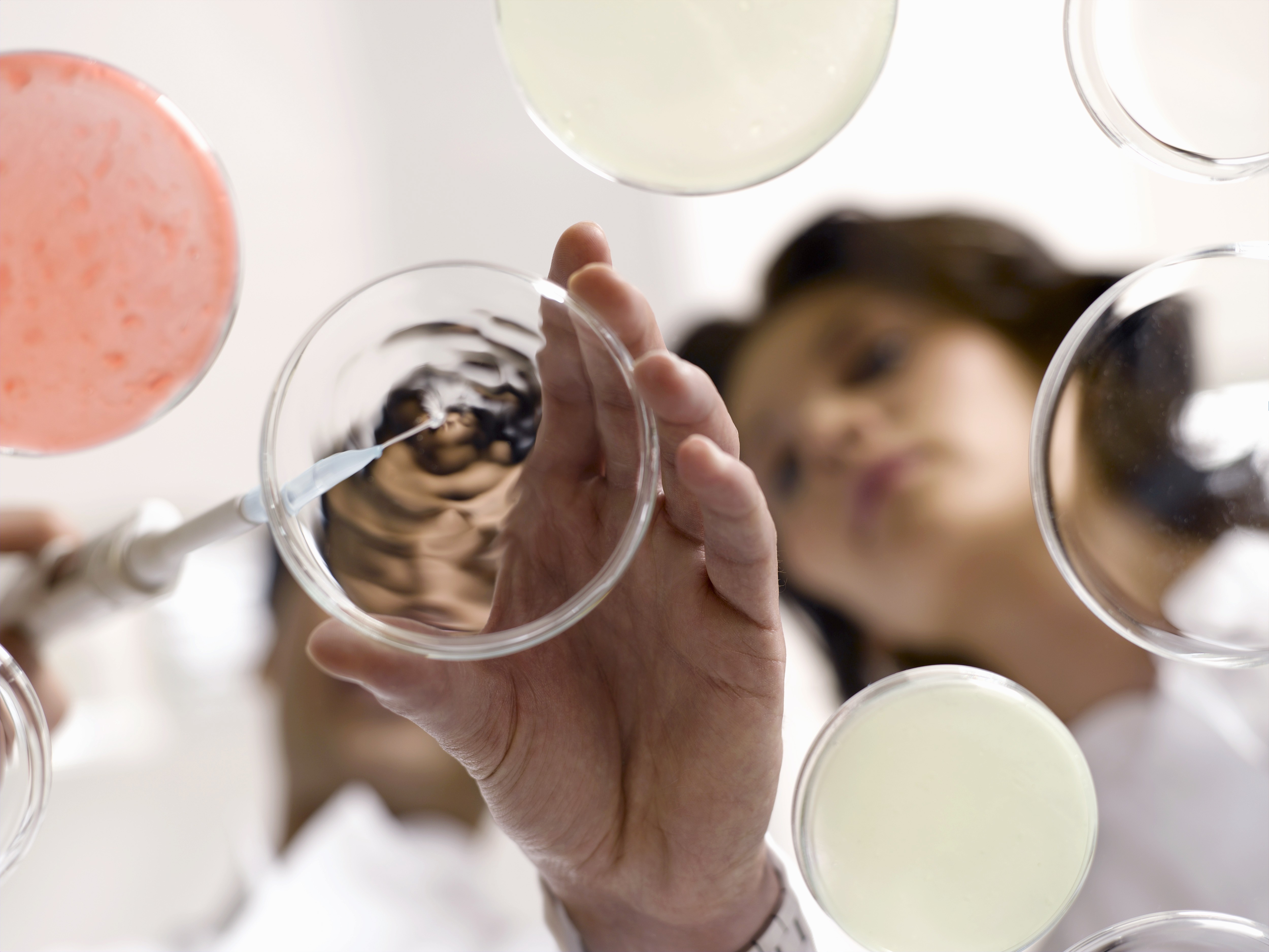 The image featured in the middle of the about us page