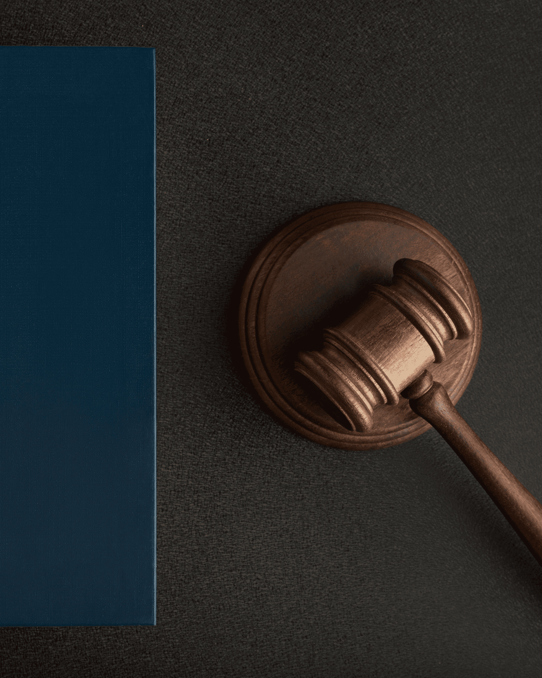 Close-up of a dark green leaf showing its textured surface and central vein against a muted background.