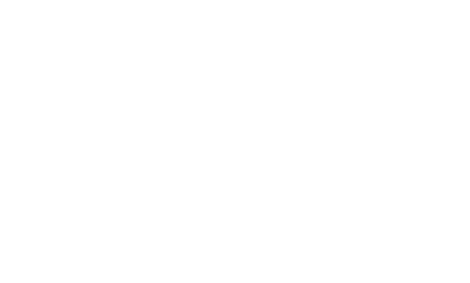 Loso Smart CFO