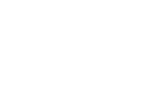 Loso Smart CFO