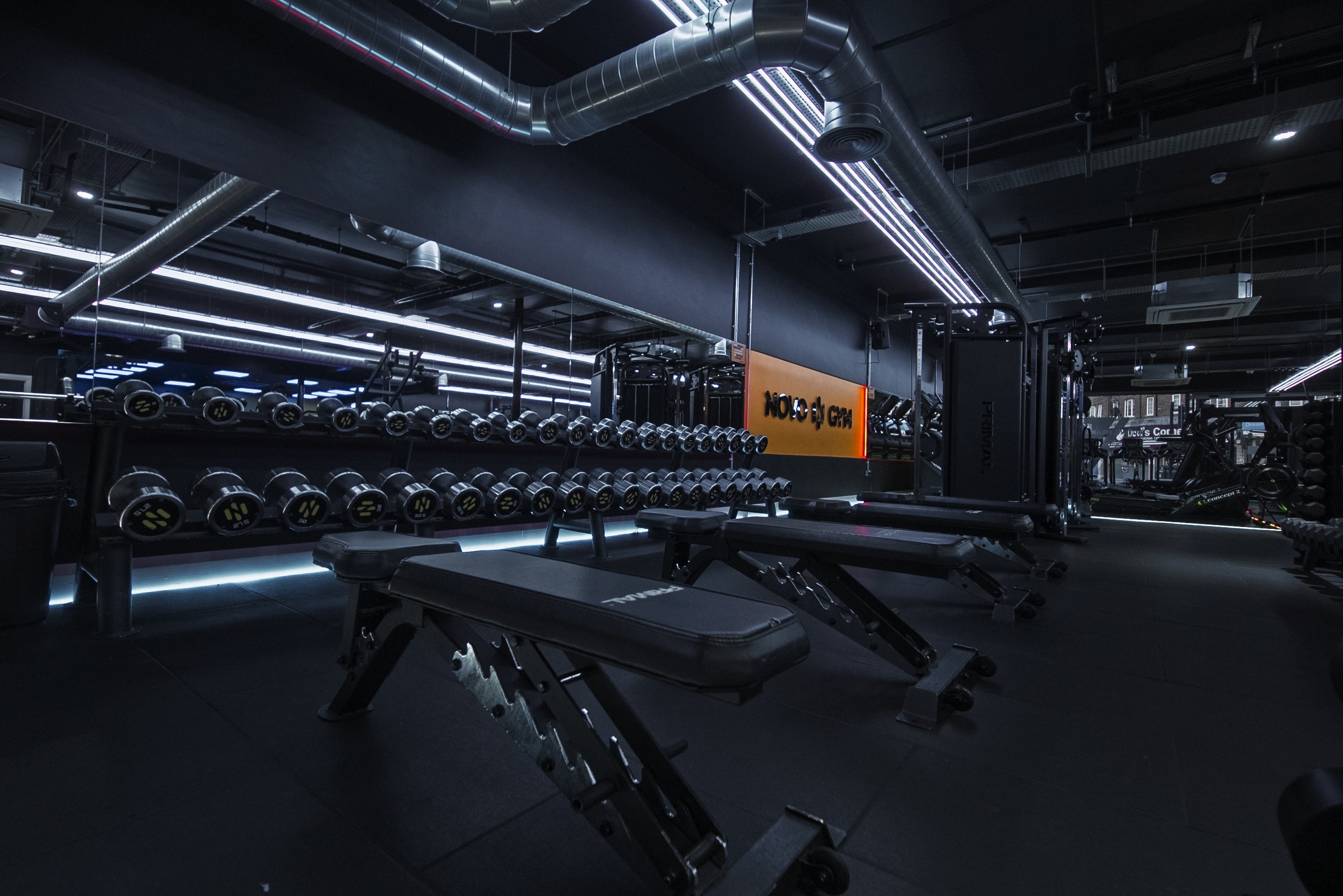 Gym Floor