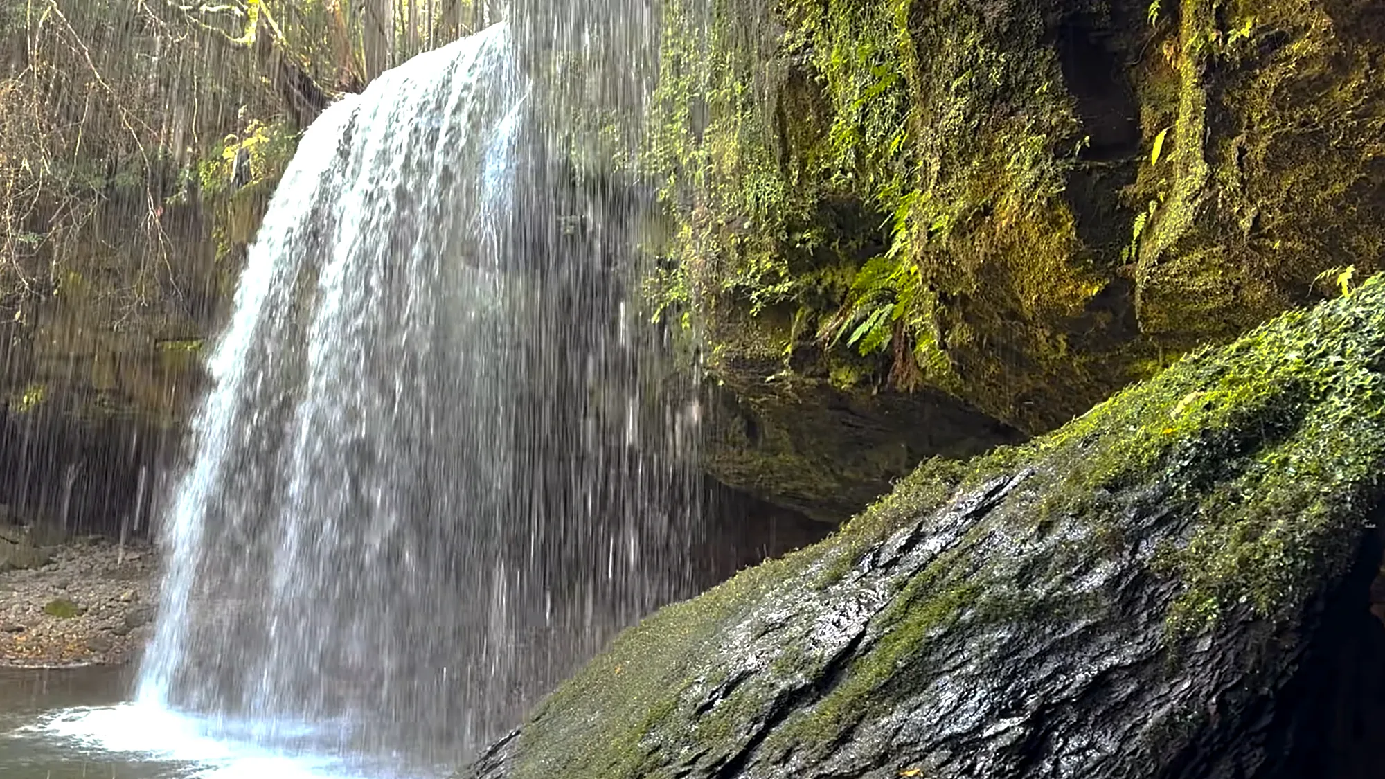 A waterfall running over a mossy cliff near Kurokawa Onsen