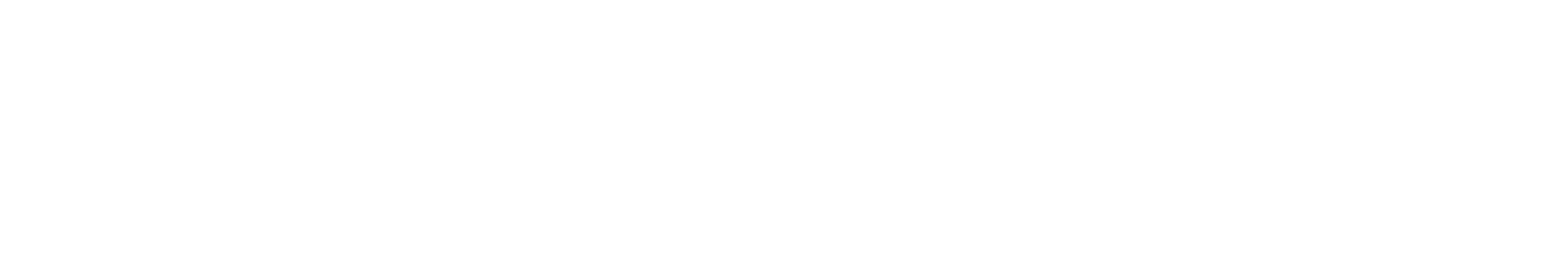 Livohaus Text logo for footer