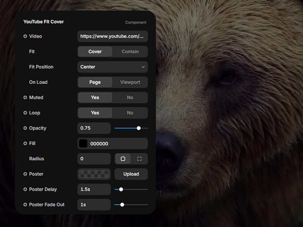 Capture d'écran du component Framer YouTube Fit Cover