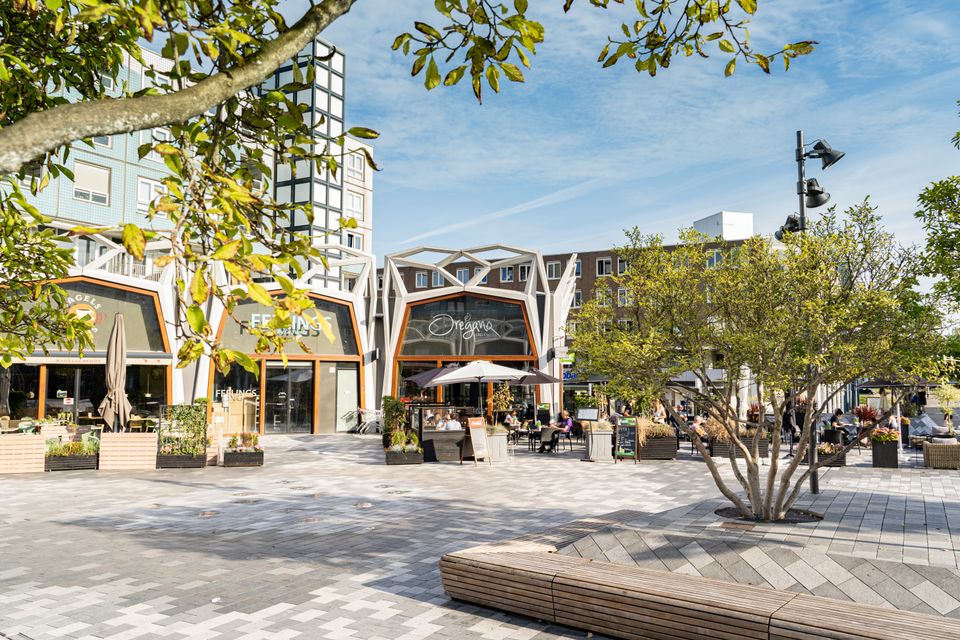 Dakgoot reparatie Nieuwegein