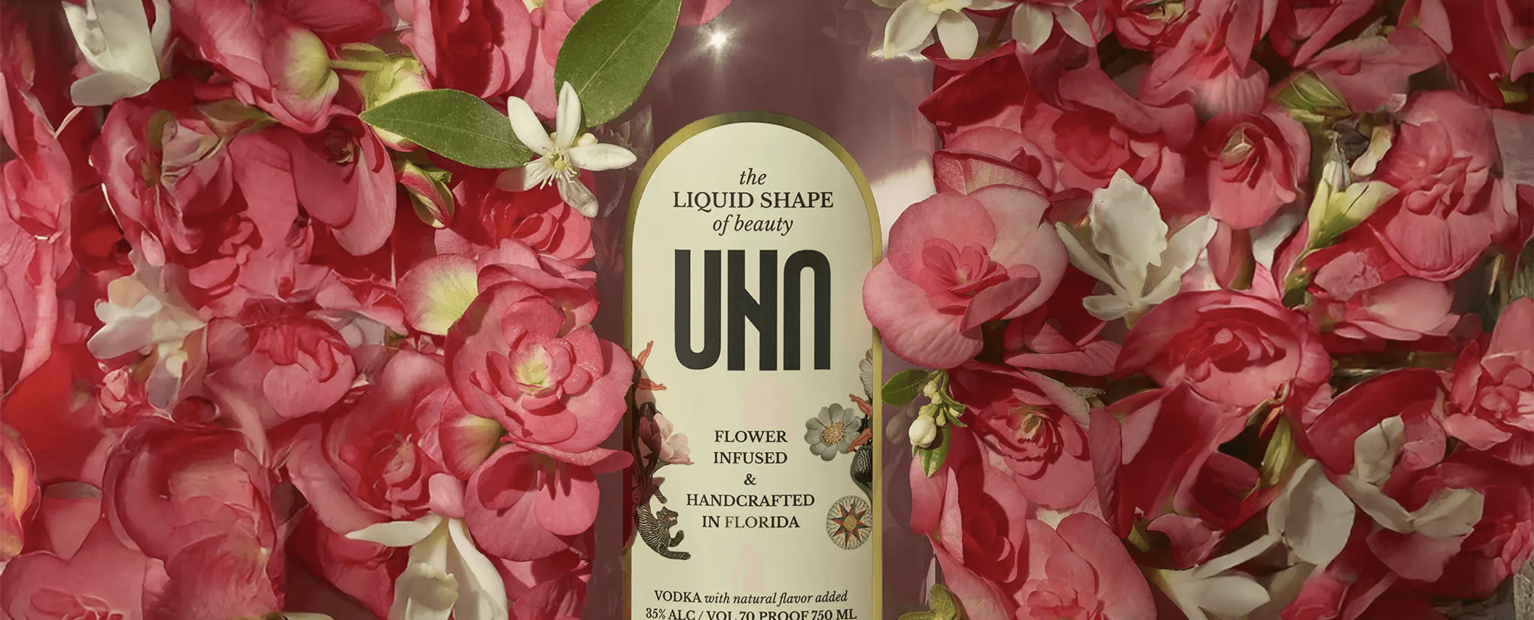 man looking at the camera from above on the skateboard