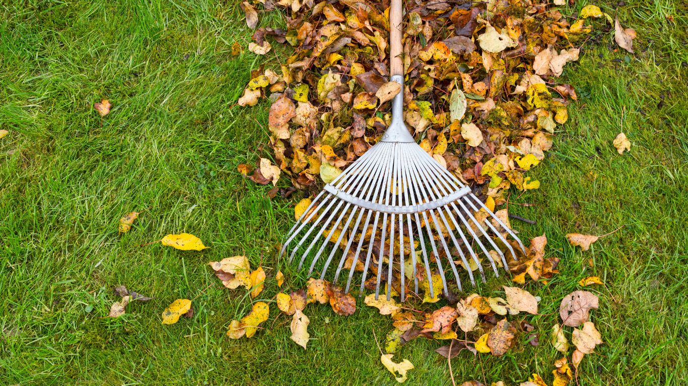 Residential Fall Cleanup