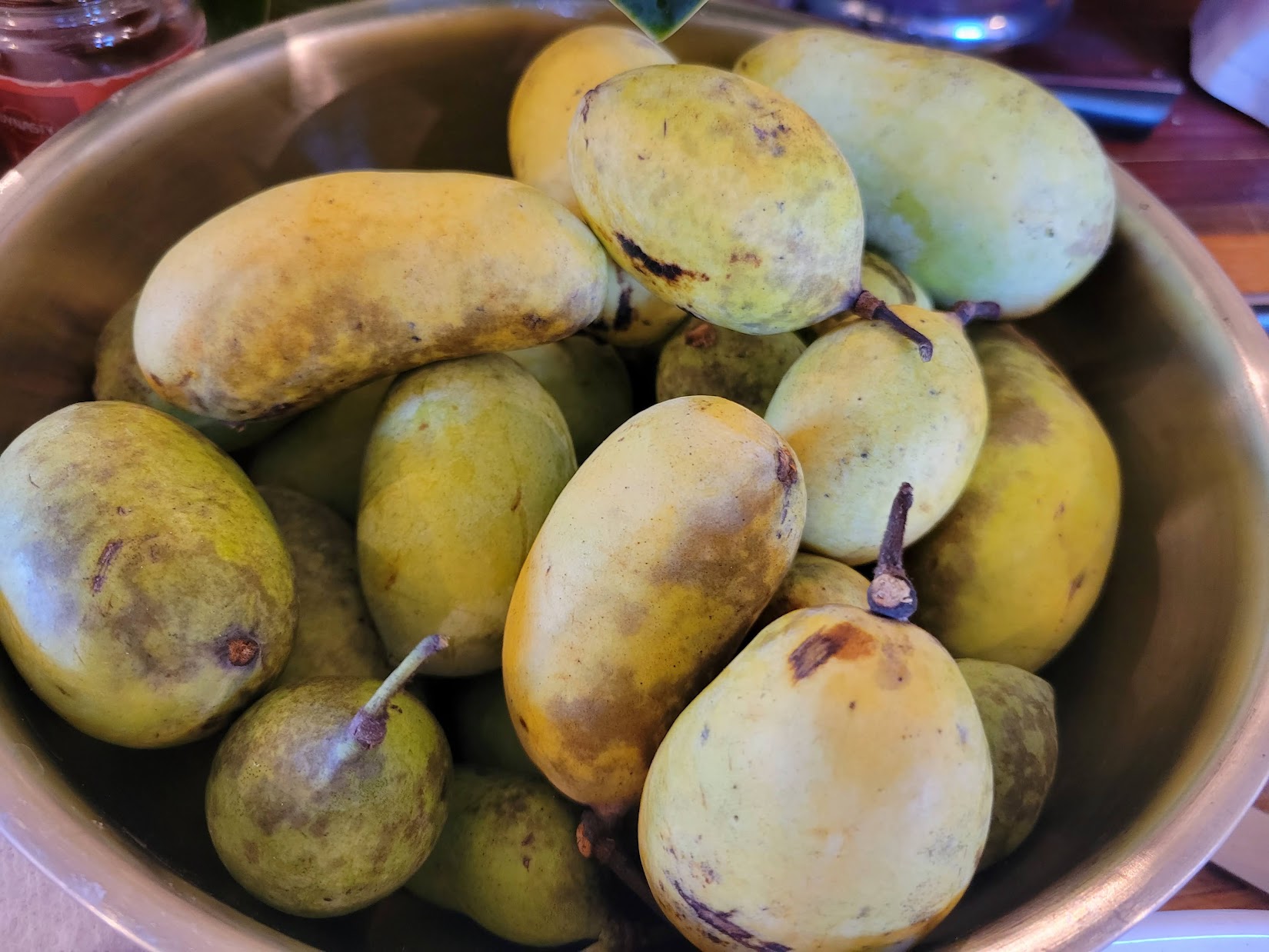Fresh wild greens and berries in a wooden bowl, representing the hands-on results of Foraging Academy’s certification classes.
