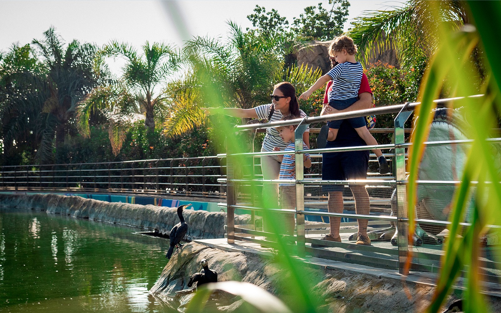 Family observing birds at Oceanogràfic Valencia.