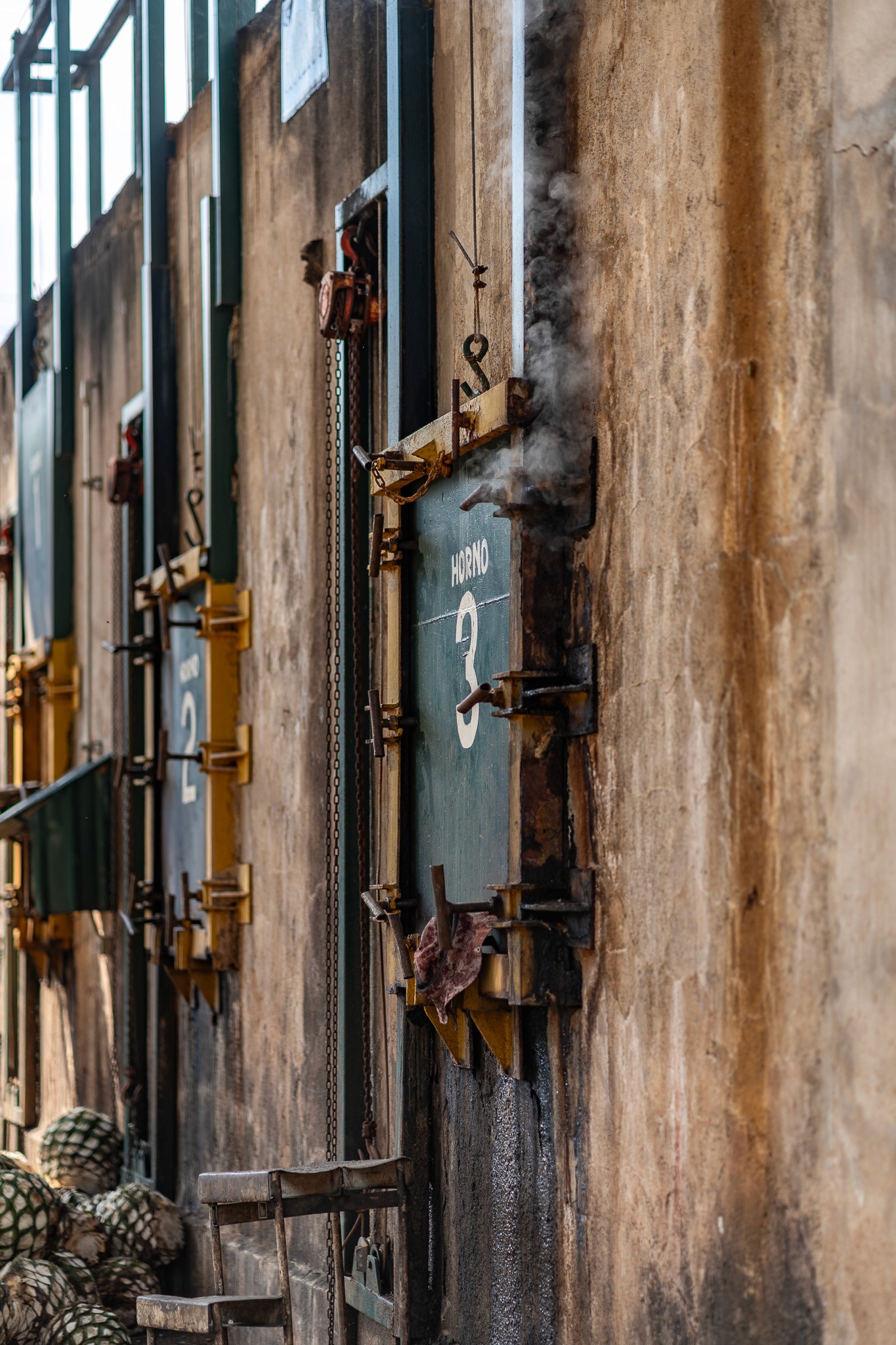 green grass in close up photography