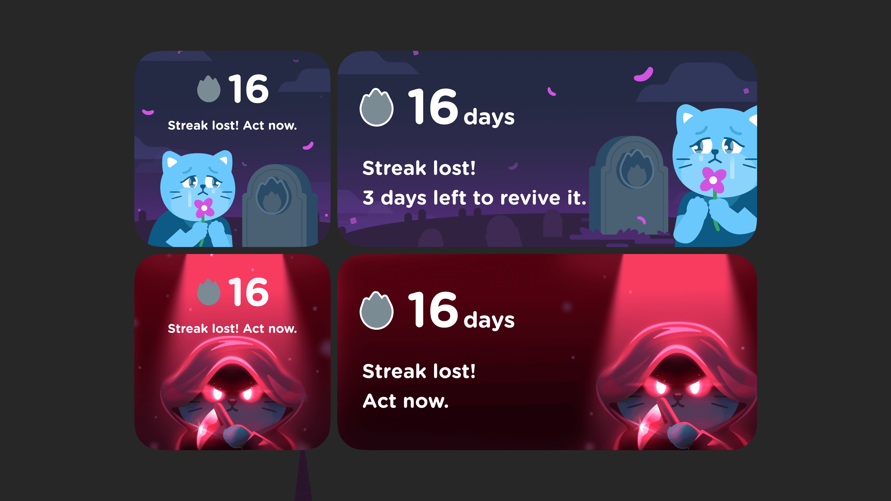 Large Project Gallery Image #4