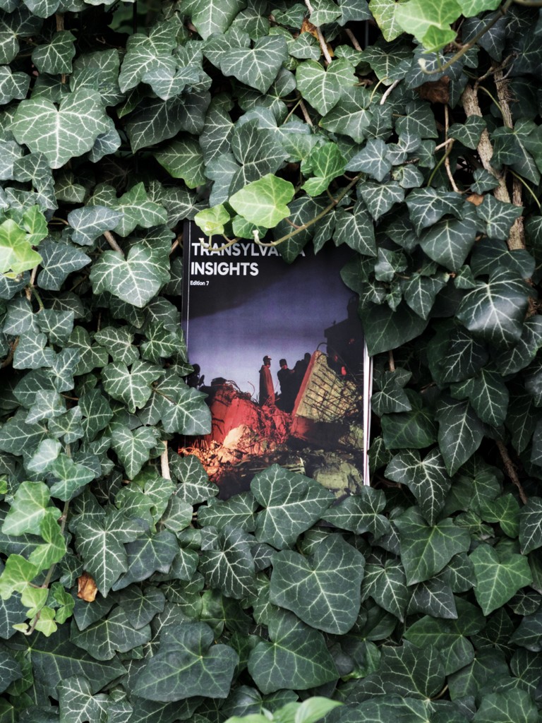 Photograph title Copy Copy Copy Copy Copy Copy Copy Copy Copy Copy