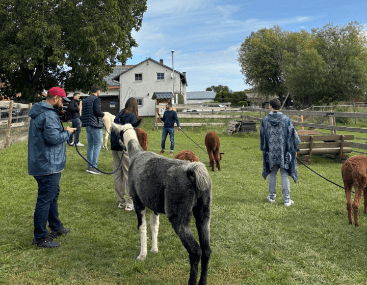Gruppe von Fincite-Teammitgliedern, die lachend auf einem Sofa sitzen und einen entspannten Moment genießen.