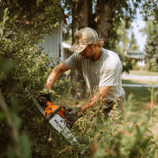 Professional pruning of fruit trees in Utah