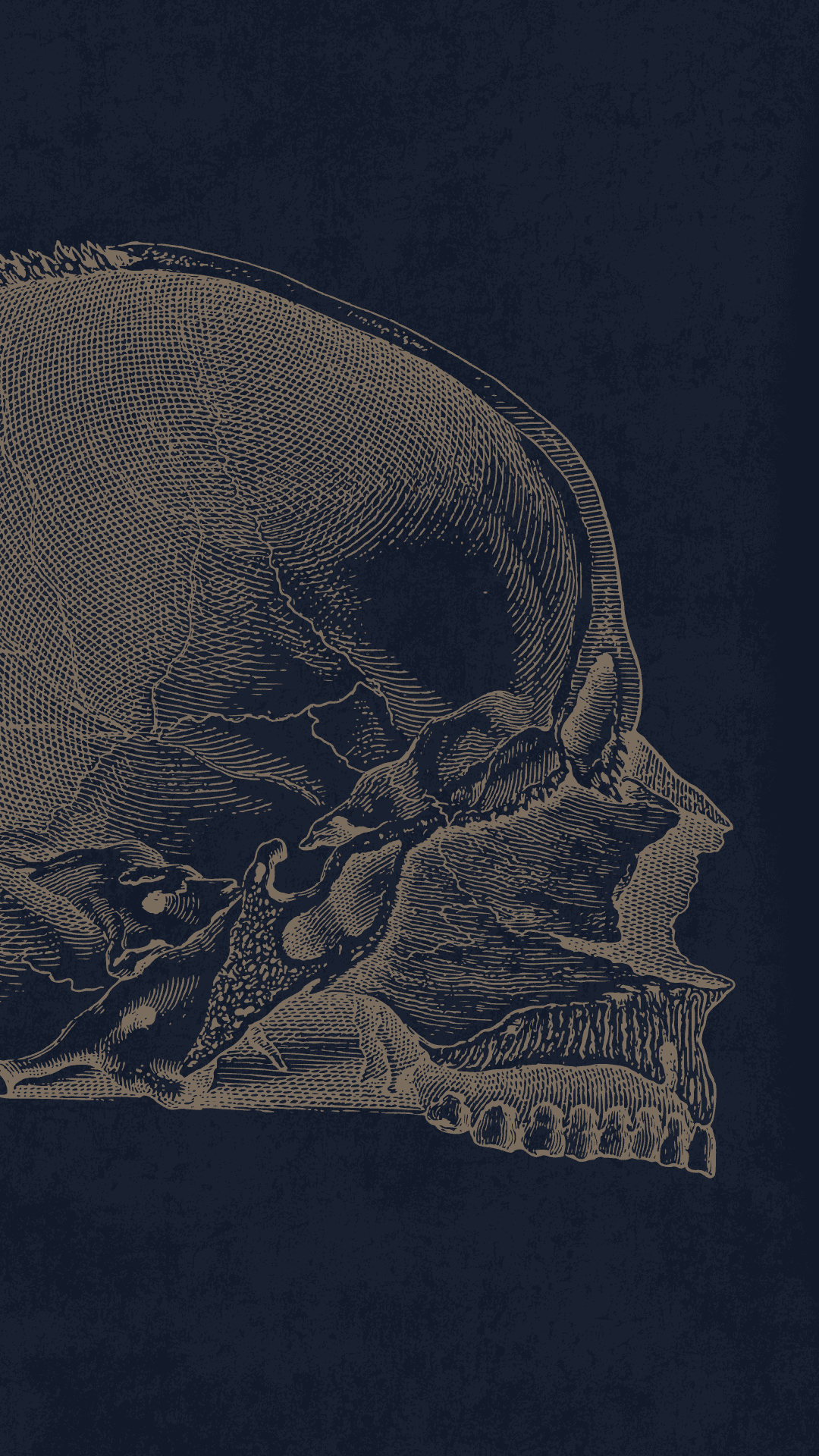 Woman standing on his one leg, doing the yoga pose