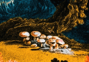 Close-up portrait of a person