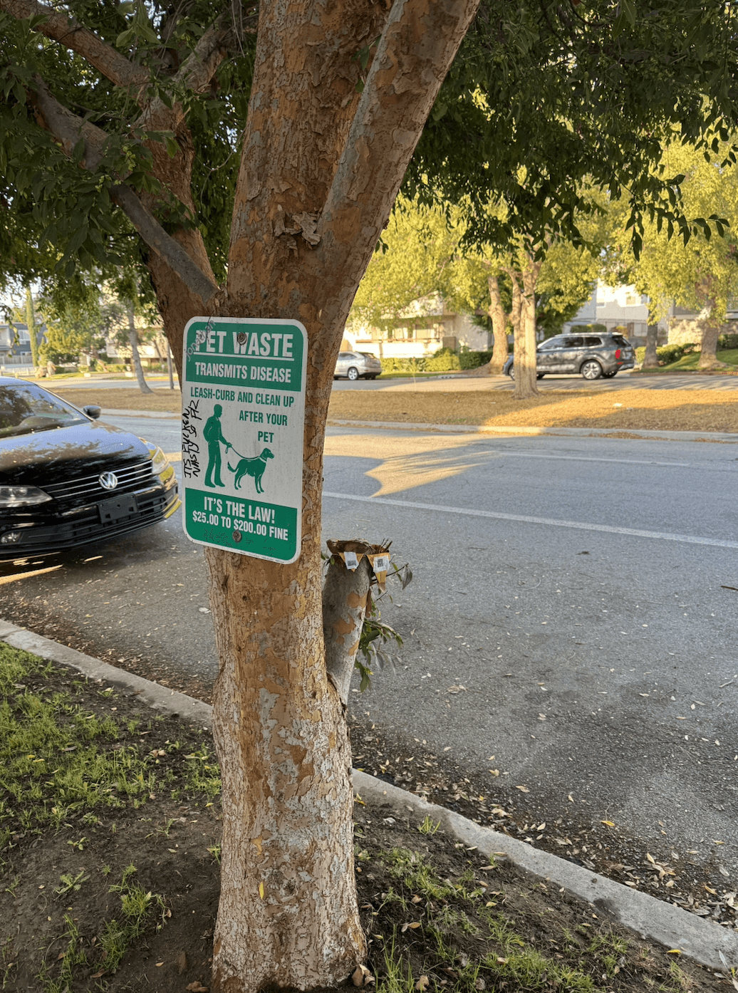 HyperCare!, Mayela Rodriguez, Pasadena, California, USA, uncommissioned, 2025