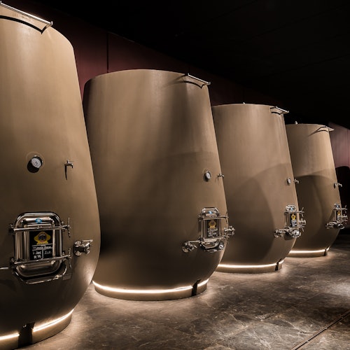 Valpolicella: Visita Guiada a la Bodega + Entradas para Cata en Marano Di Valpolicella