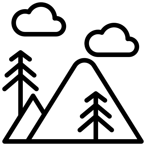 Activity Icon